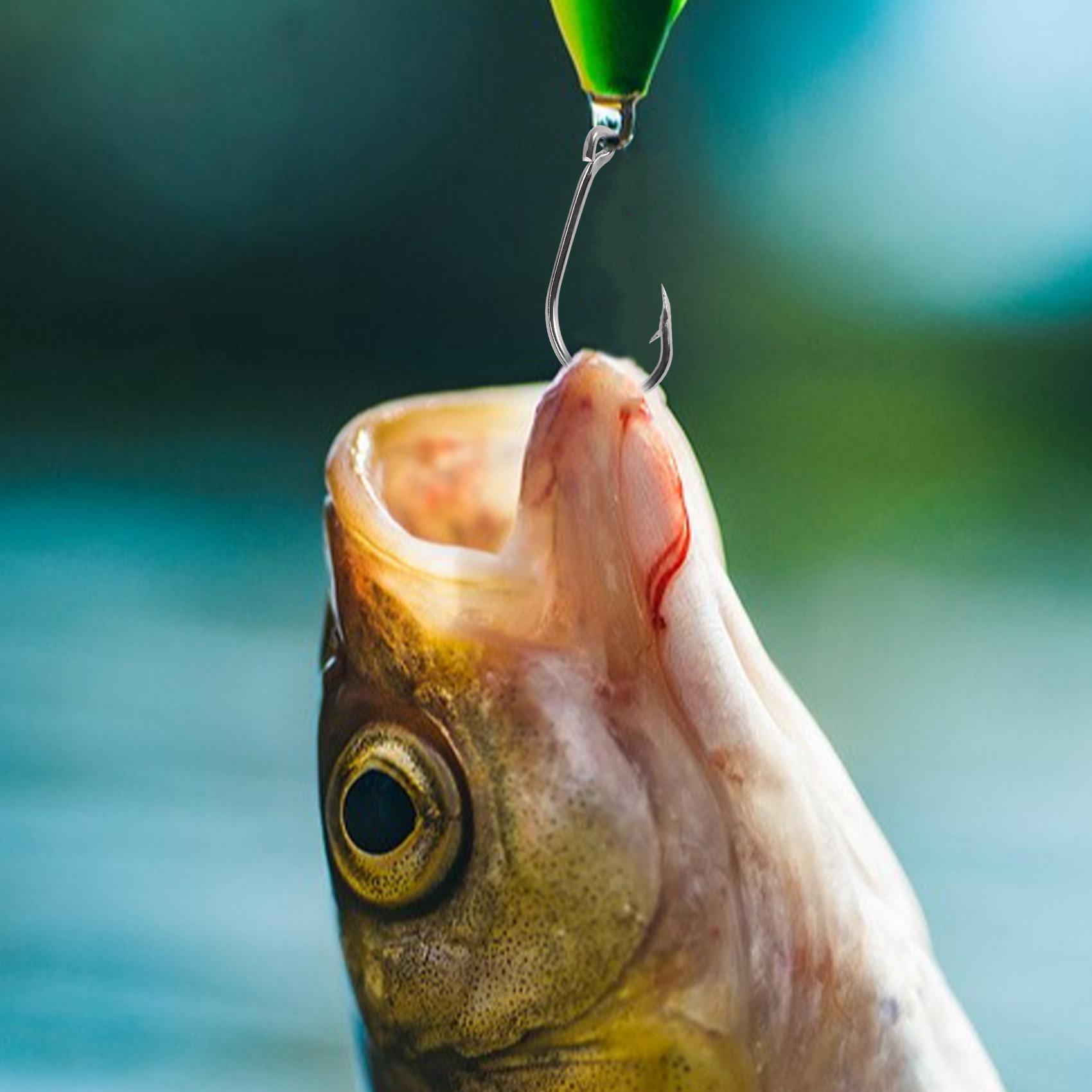 Nueva llegada 500 piezas/set d - Fishing Hook reseña y precio
